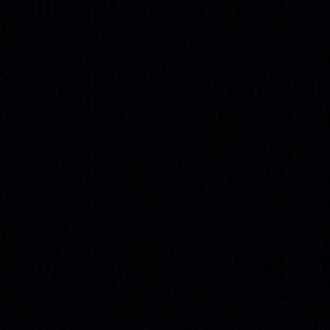 Meet your Posher, Ashlynn